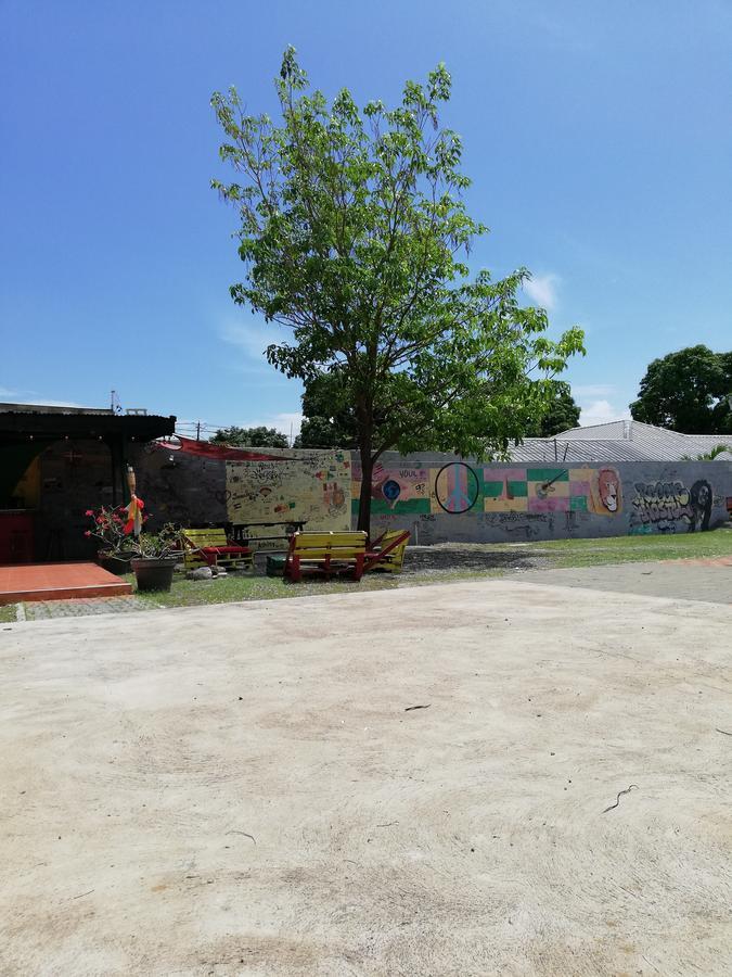 Reggae Hostel Kingston Exterior photo